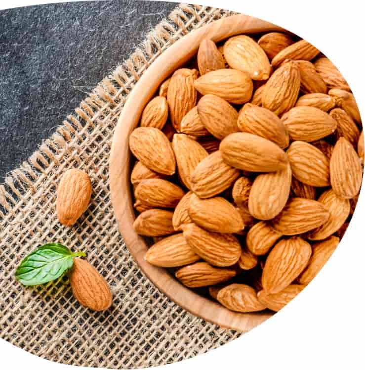 تصویر 4 از قیمت خرید مغز بادام ربیع با کیفیت + خرید عمده